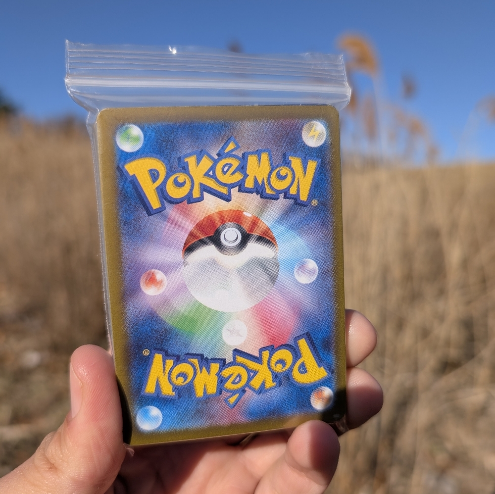 Bulk 40 Pokémon Cards (Don't go into the Tall Grass)! Lots of holo/reve…